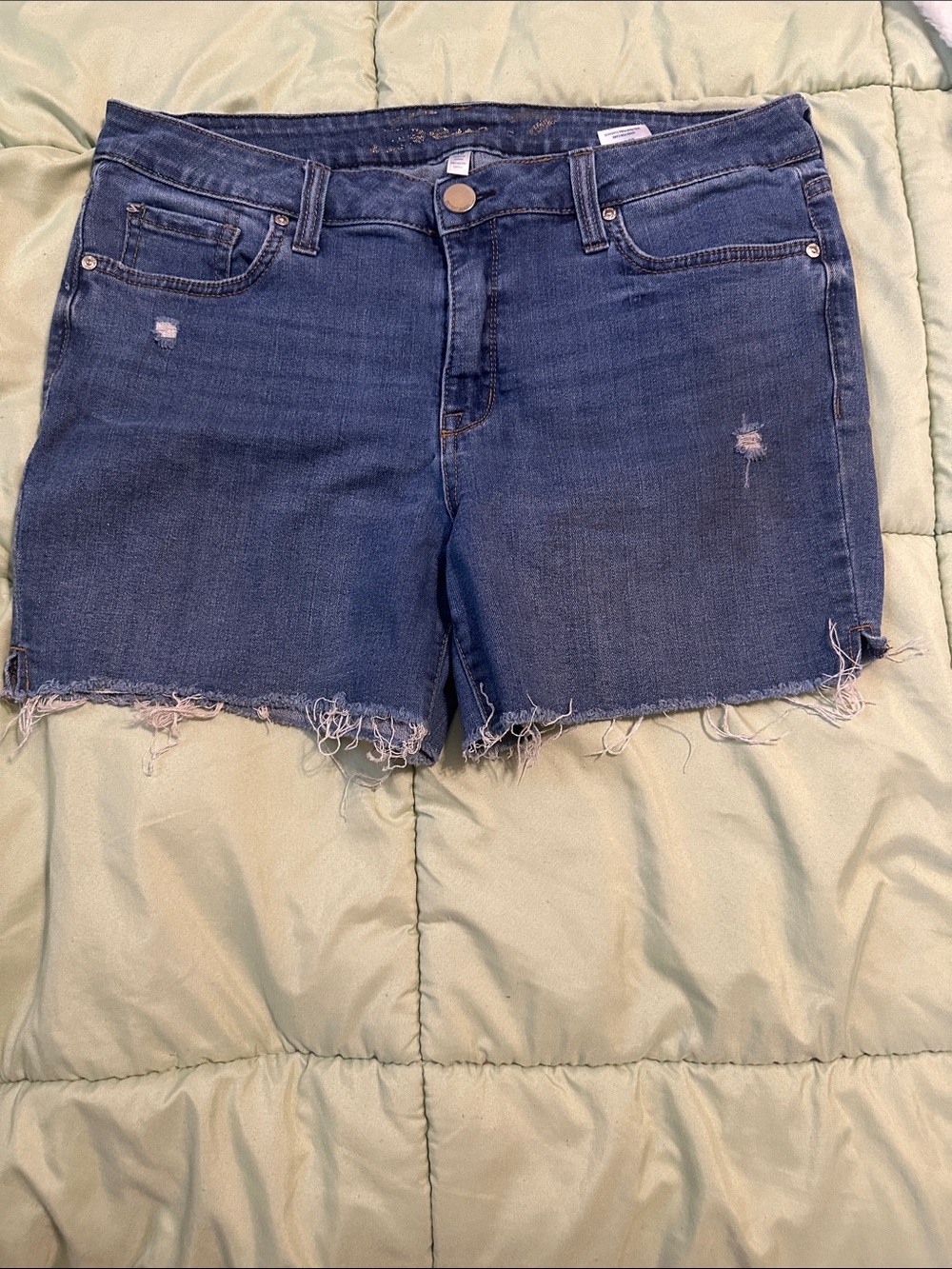 Seven7 Frayed Hem Medium Blue Denim Shorts